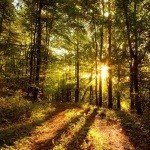 Stratton - @luckeyramona68 - Instagram