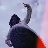 Ramona Turner - @ramona.turner1 - TikTok