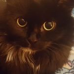 Ramona Weeks - @ramonaweeks5 - Instagram