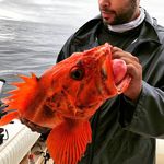 Ramone Brown - @ramoneb87 - Instagram