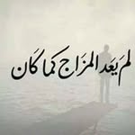 Ramy Halim - @halim_ramy - Instagram