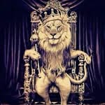 Ramy Nasser - @ramynasser____ - Instagram