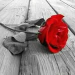 Ramzi Bazzi - @bazziramzi - Instagram