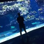 Ram Zii - @ramzi.issaoui33 - Instagram