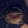 blake - @random_person_blake - TikTok