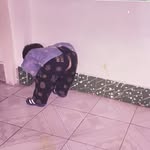 Ran Jing - @ranjing.jingi - Instagram