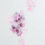 냥냥이 - @ran_jing_hart - Instagram