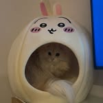 まゆげサロン 【 macaron 】 - @ran_macaron_eyebrow - Instagram