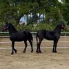 Rancho MAC - @rancho.mac - TikTok