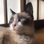 葵 - @ran_ren_08 - Instagram