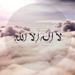 Randa Ammar - @randa.ammar - Instagram