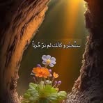 Randa Chamas - Facebook