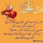@hammoud.randa - Instagram