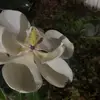 Randalynn 🩷 - @randyyywj - TikTok