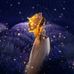 Randa Mansour - Facebook