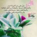 Randa Mansour - Facebook