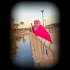 Randa___Mohamed - @randa___mohamed - TikTok