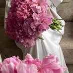 Randa Mohamed - Facebook