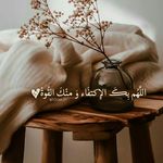 Randa Othman - @othmanranda485 - Instagram