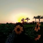 Randa Ramadan - Facebook