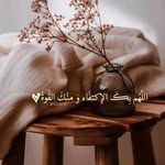 Randa Ramadan - @randaramadan24 - Instagram
