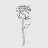 randarose_wellness - @randarose_wellness - TikTok