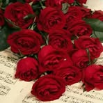 Randa Sabbagh Mansour - Facebook