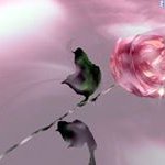Randasabbagh - @randa.sabbagh99 - Instagram