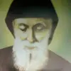 Randa Samaha - @randa123452 - TikTok