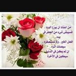 Randa Aboelsaoud - @randaaboelsaoud - Instagram