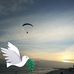 Randa Young - Facebook