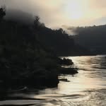 Randal Allen - @randalag1 - Instagram