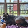 Randal Cooper - @randal.cooper - TikTok
