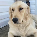 Randal Edwards - @randalrvz - Instagram