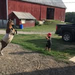 Randy Hopper - @randy.hopper.737 - Instagram