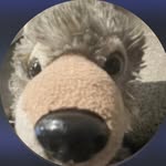 Randal Wolf - @randal.wolf_8 - Instagram