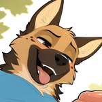 Roberto - @randall_the_wolf_xd - Instagram