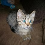 Randall Archer - @randallarcher60 - Instagram