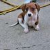 Randy Ard - Facebook