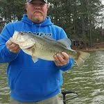 Randall Barbee - @randallbarbee - Instagram