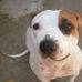 Randy Barringer - Facebook
