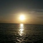 Barry Randall - @barry.randall.144 - Instagram