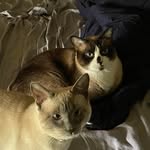 Randall Bates - @bates35nb - Instagram