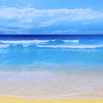 Randall Beach - @randallbeach2 - Instagram