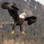 Randall benton - @randallbenton58 - Instagram