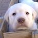 Randall Bergen - Facebook