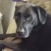 Randall Bernard - Facebook