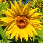 Randall Blakemore - @rblakemore66 - Instagram