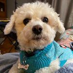 Randall Blanton - @rhblanton6288 - Instagram