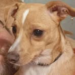 Randy Boyles - Facebook